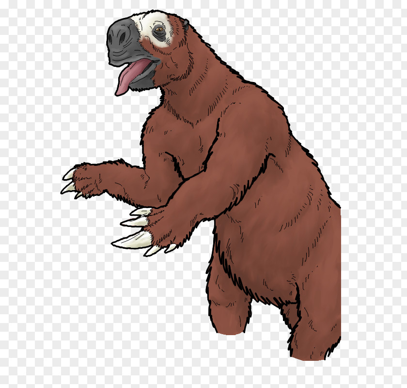 Linnaeus's Twotoed Sloth Beak Snout Carnivora Character PNG