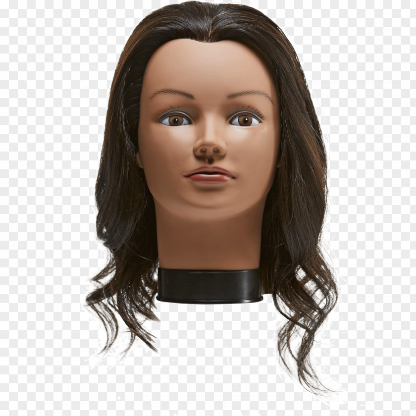 Manniquin Mannequin Hair Cosmetology Sally Beauty Supply LLC Holdings PNG