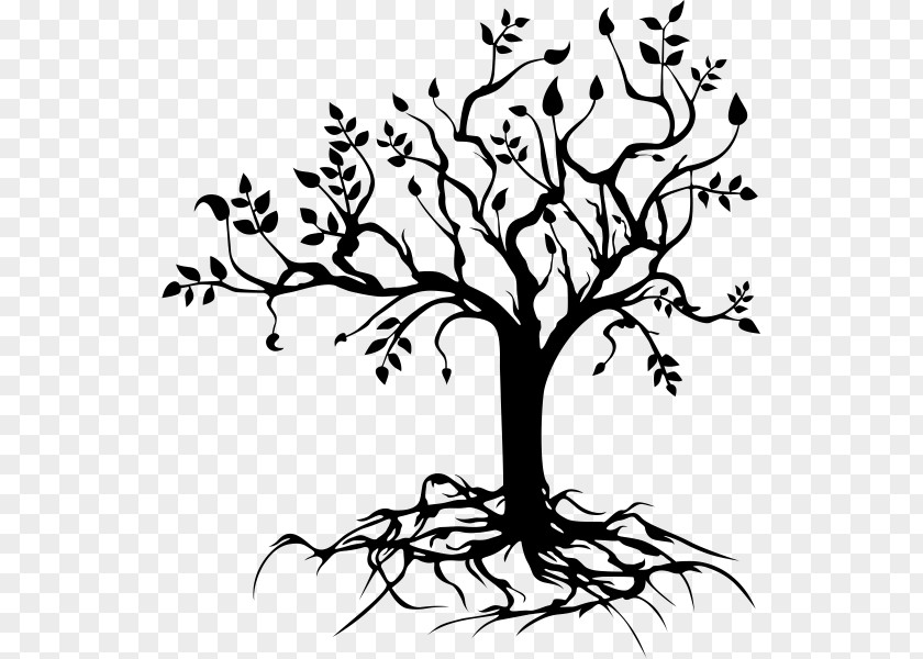 Tree Drawing Of Life PNG