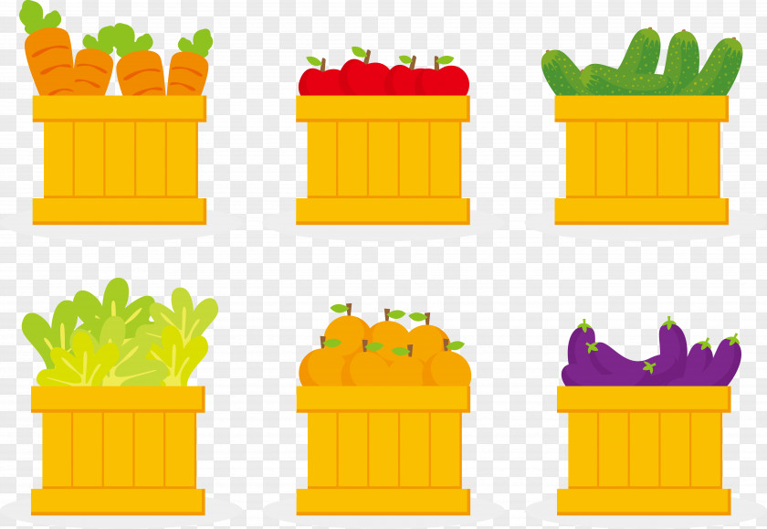 Vector Vegetables Cabinet Organic Food Vegetable Fruit Cucumber PNG