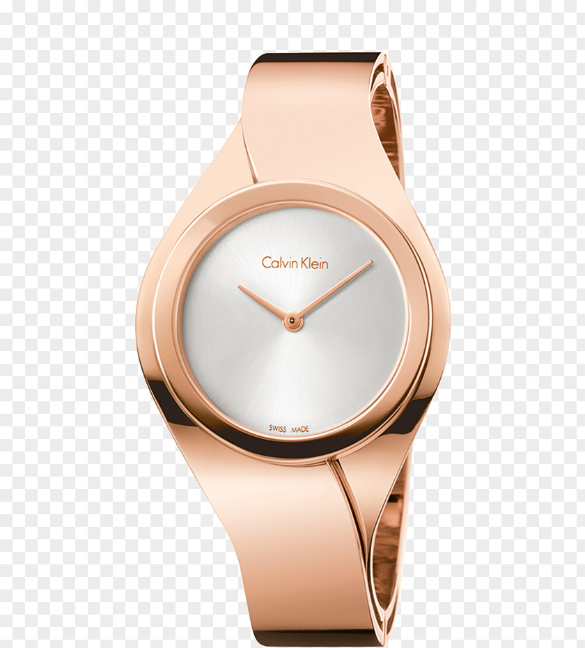 Watch Calvin Klein Gold Bangle Bracelet PNG