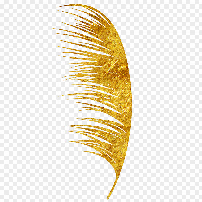Wheat Food Crop Icon PNG