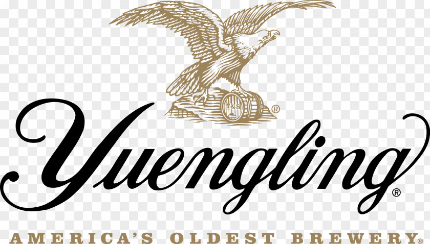 Beer Yuengling Traditional Amber Lager Logo PNG