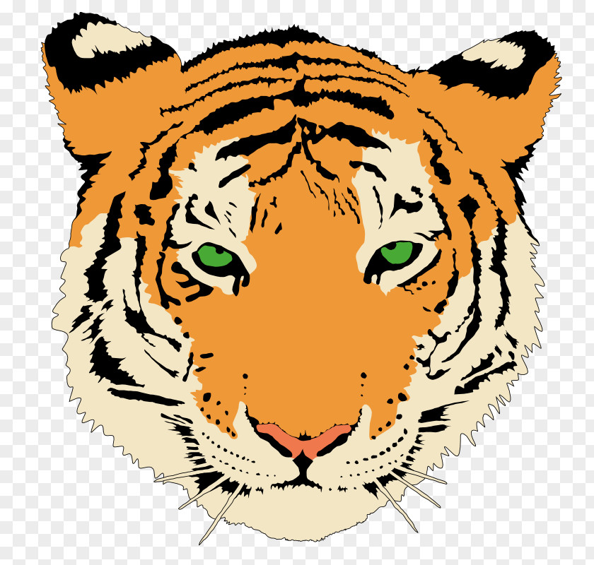 Bengal Tiger Cat Felidae Big Clip Art PNG