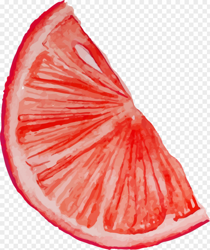 Cake Painted Blood Orange Fruit PNG