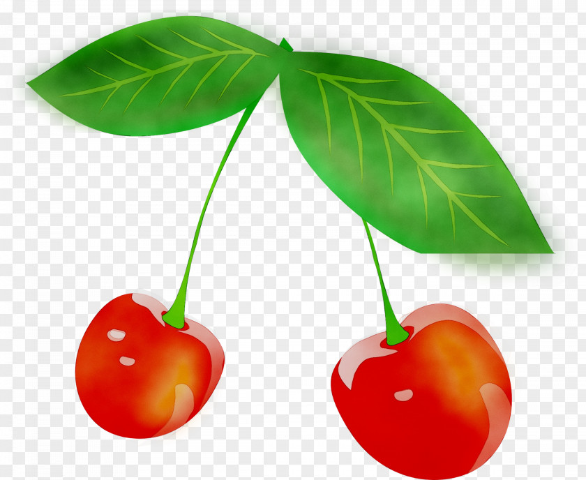 Cherries Image Food Clip Art PNG