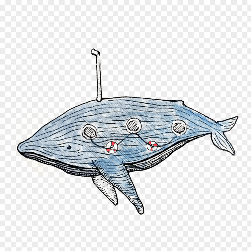 Design Porpoise Product Cetacea Drawing PNG