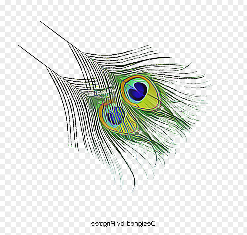 Eyelash Animal Product Feather PNG