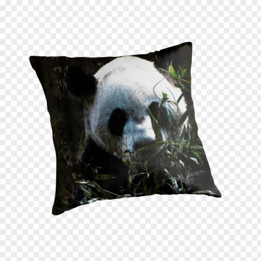 Giant Panda Bear Throw Pillows IPod Touch Cushion PNG