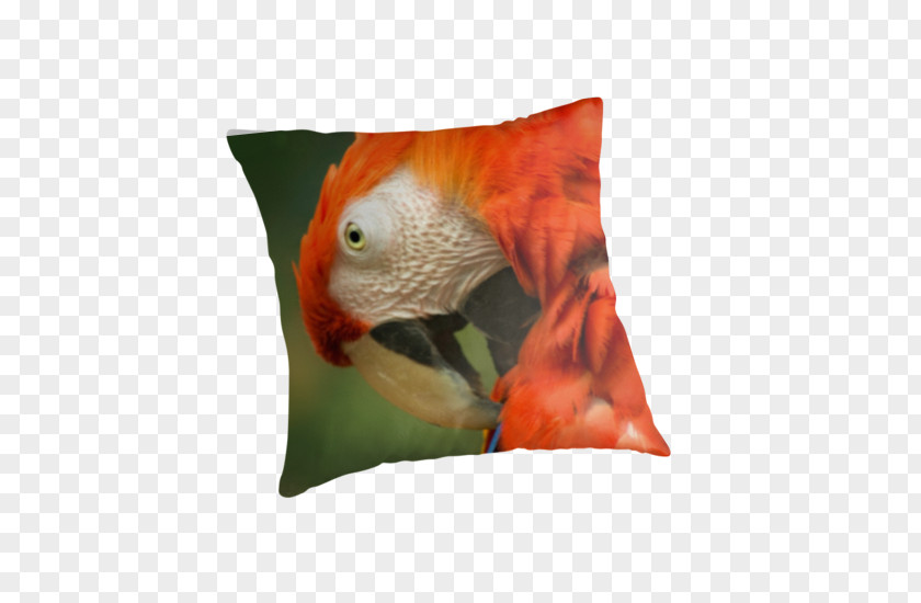 Macaw Beak Cushion PNG