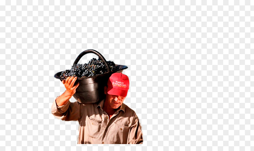 Microphone Hat PNG