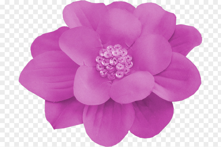 Rose Dahlia Cut Flowers Pink M Family PNG