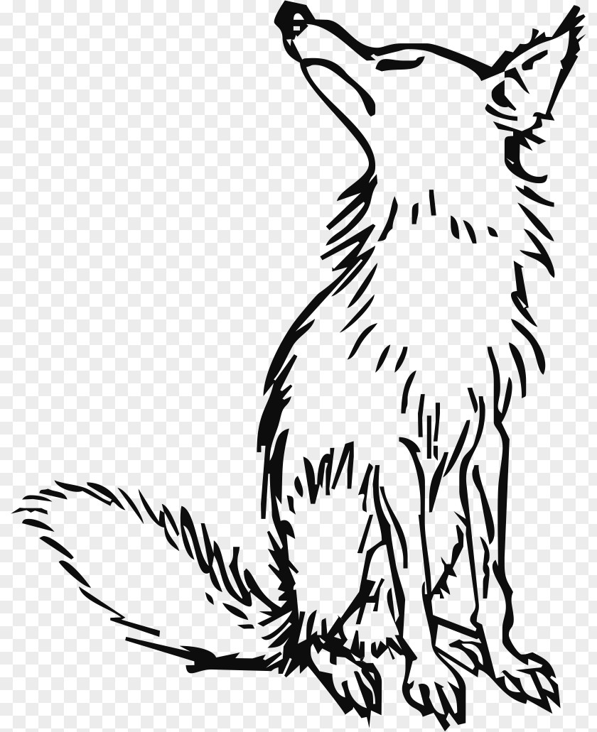White Fox The And Grapes Aesop's Fables Reynard Drawing PNG