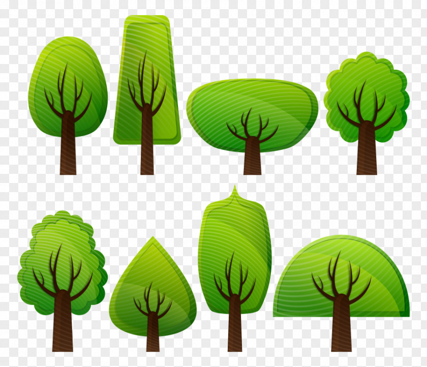 Cartoon Picture Of Trees Tree Shrub Clip Art PNG