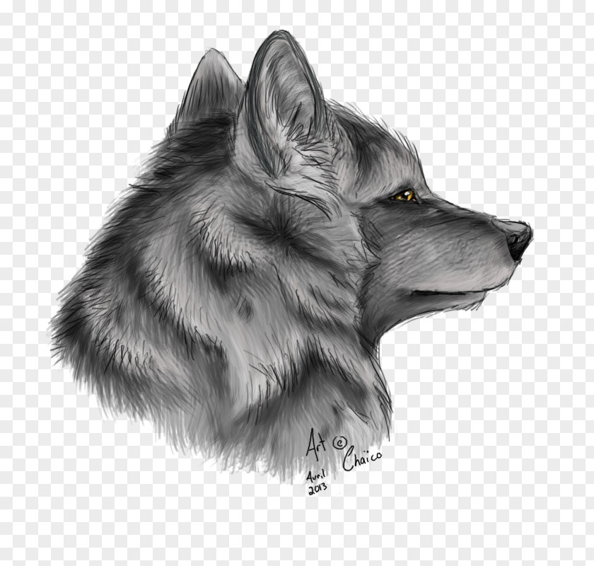 Pencil Drawing Dog Red Fox Sketch PNG