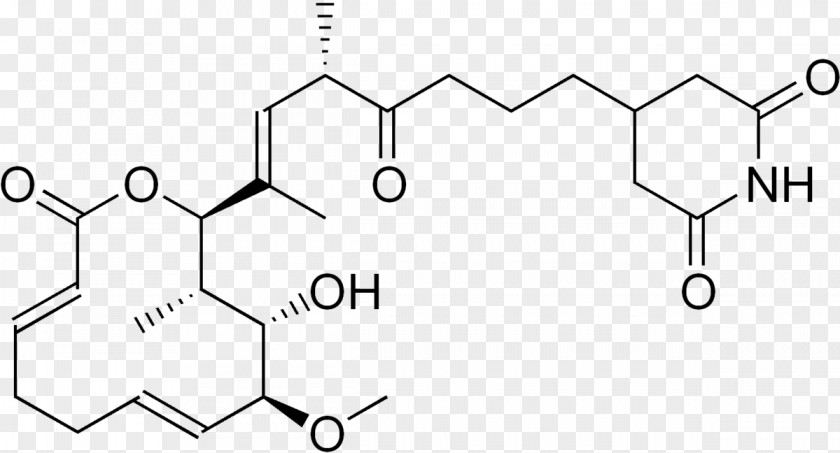 Rastafari Cis–trans Isomerism Dietary Supplement Organic Chemistry Ether PNG