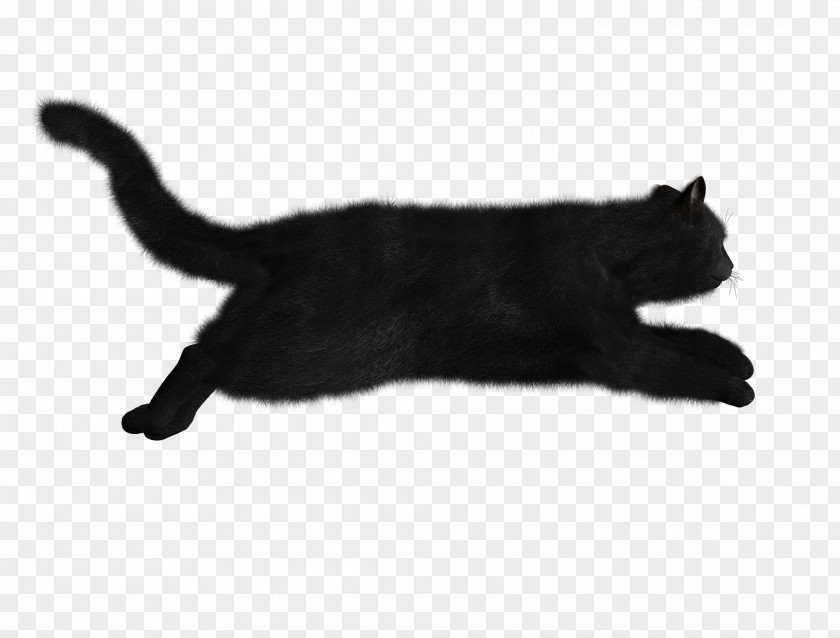 Sleepy Black Cat Clip Art PNG
