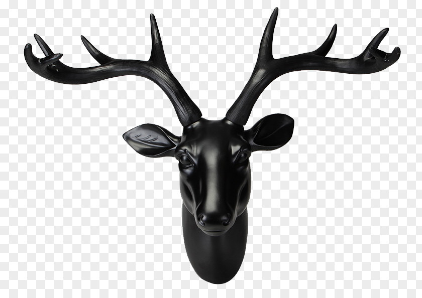 Wall Deer Elk PNG