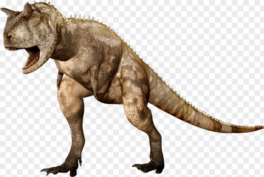 Dino Carnotaurus Tyrannosaurus Ceratosaurus Abelisaurus Dinosaur PNG