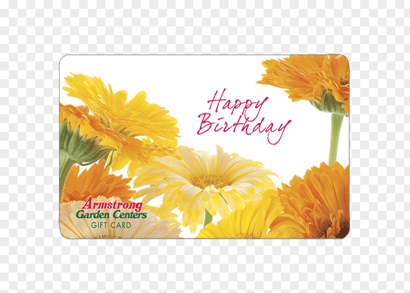 Gift Card Armstrong Garden Centers Greeting & Note Cards Birthday PNG