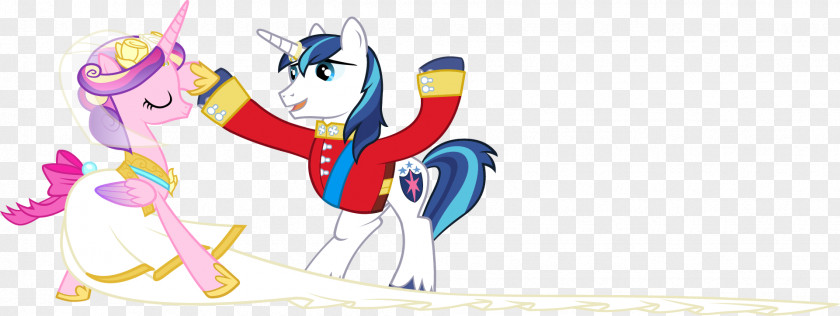 Shining Vector Princess Cadance My Little Pony Twilight Sparkle Rarity PNG