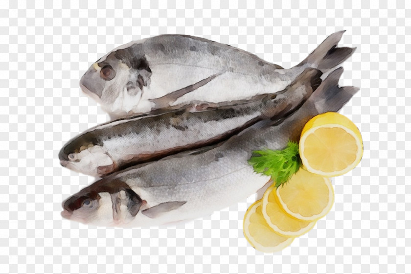 Soused Herring Oily Fish Seafood Food PNG