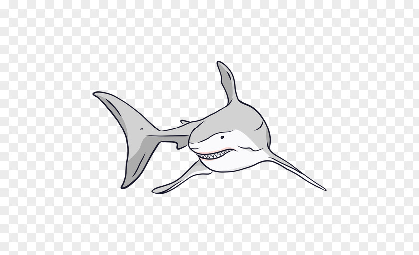 Tooth Drawing Britannica Shark Illustration Vector Graphics Image PNG