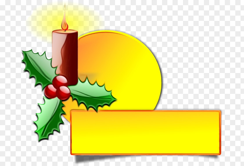 Candle Plant Holly PNG