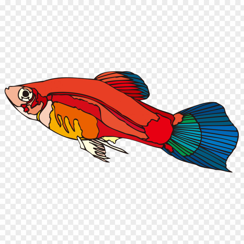 Cartoon Fish Guppy PNG
