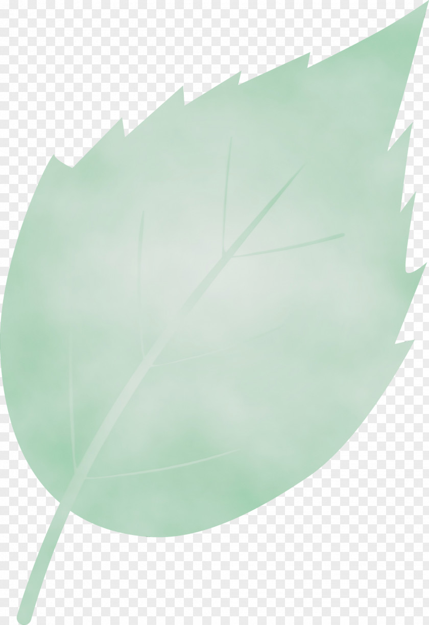 Feather PNG