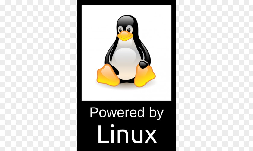 Logo Linux Penguin Tux Racer Operating Systems PNG