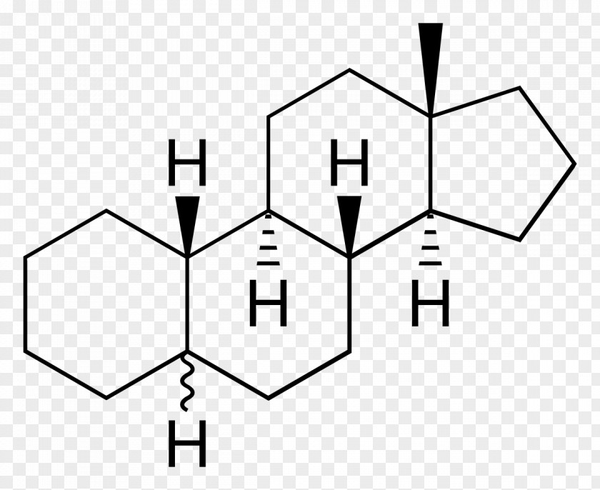 Medroxyprogesterone Acetate Anabolic Steroid Nandrolone Progestin PNG