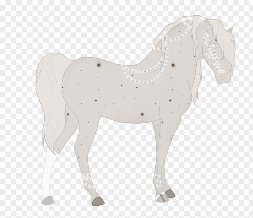 Mustang Stallion Halter Mare Rein PNG