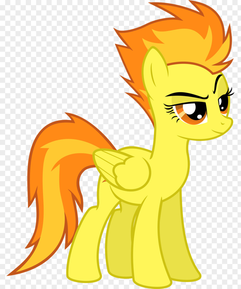 My Little Pony Rainbow Dash Rarity Princess Cadance PNG