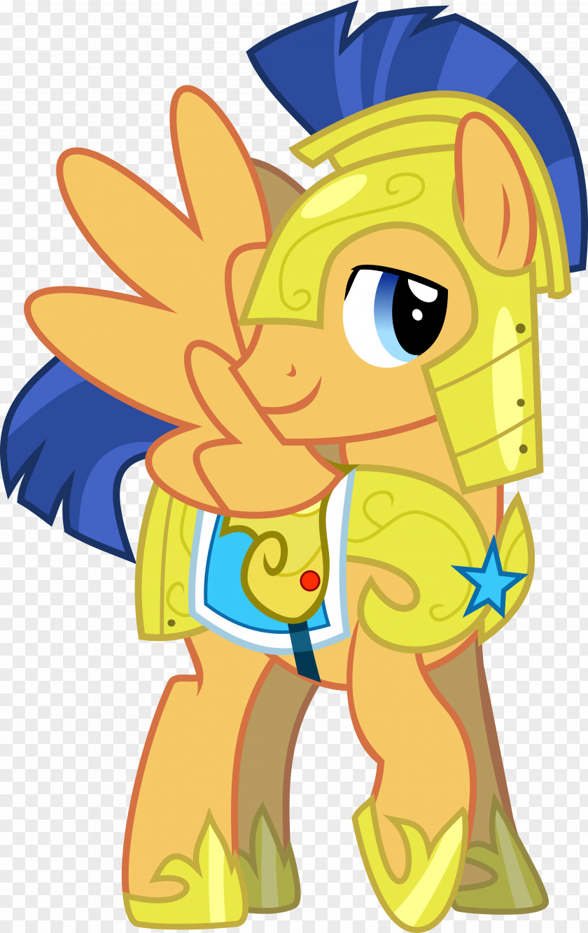 My Little Pony Twilight Sparkle Flash Sentry Rainbow Dash Rarity PNG