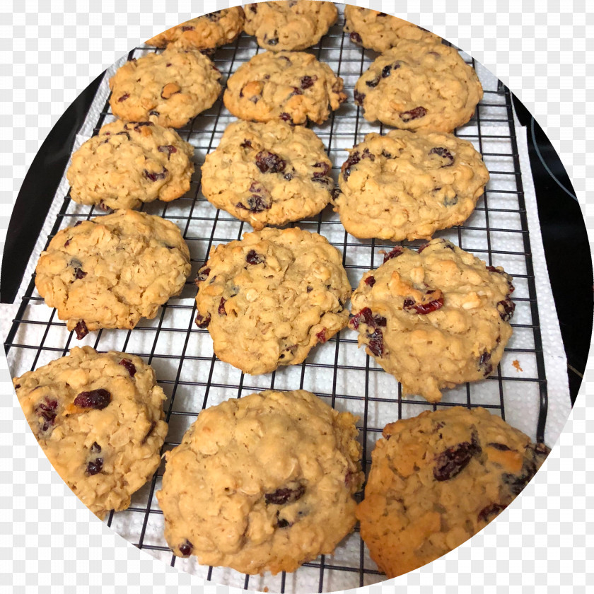 Oatmeal Raisin Cookies Chocolate Chip Cookie Anzac Biscuit Dough PNG
