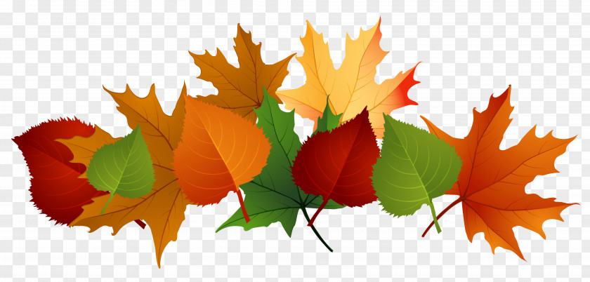 Windy Leaves Cliparts Autumn Leaf Color Clip Art PNG