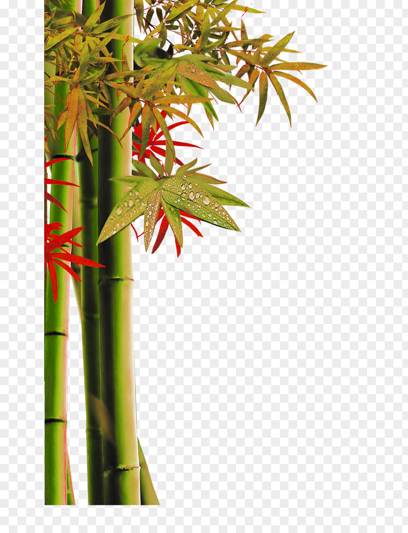 Yellow Green Simple Bamboo Decorative Patterns Dizi PNG
