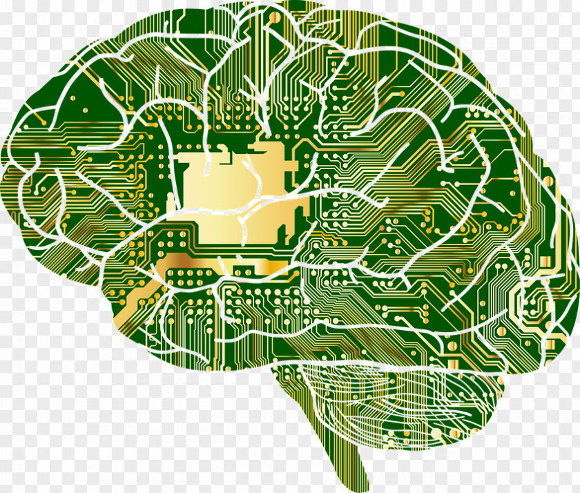 Brain Circuit Lines Google Brainu2013computer Interface Human Skull PNG