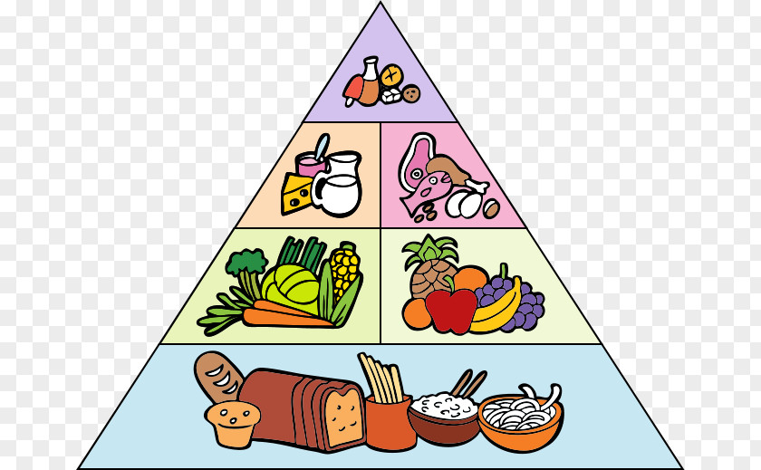 Health Food Pyramid Drawing Clip Art PNG