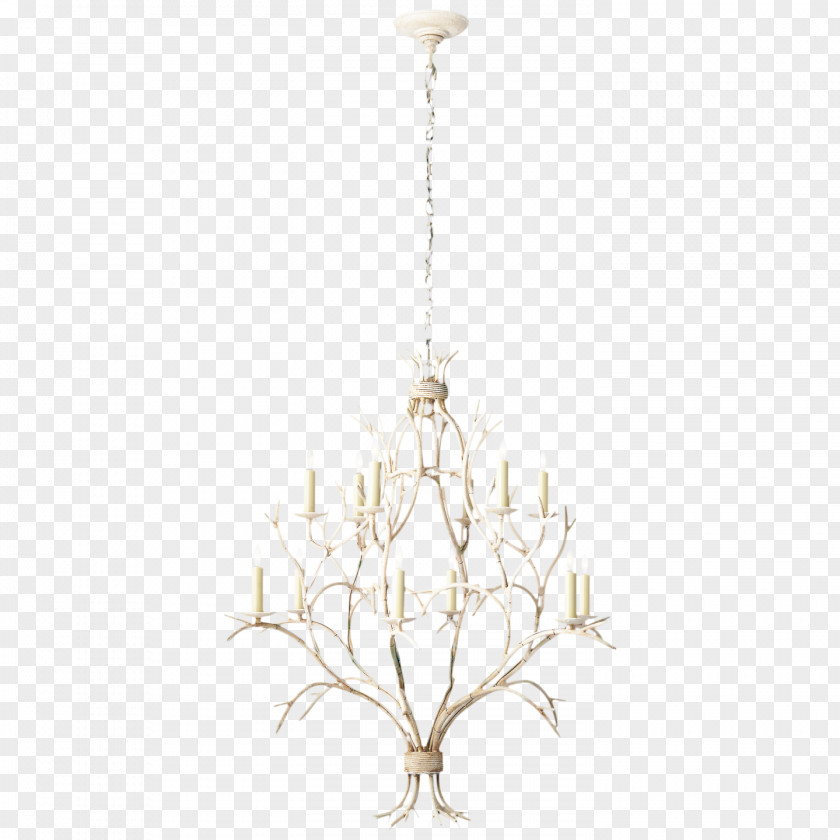 Lamp Twig Leaf Branch PNG