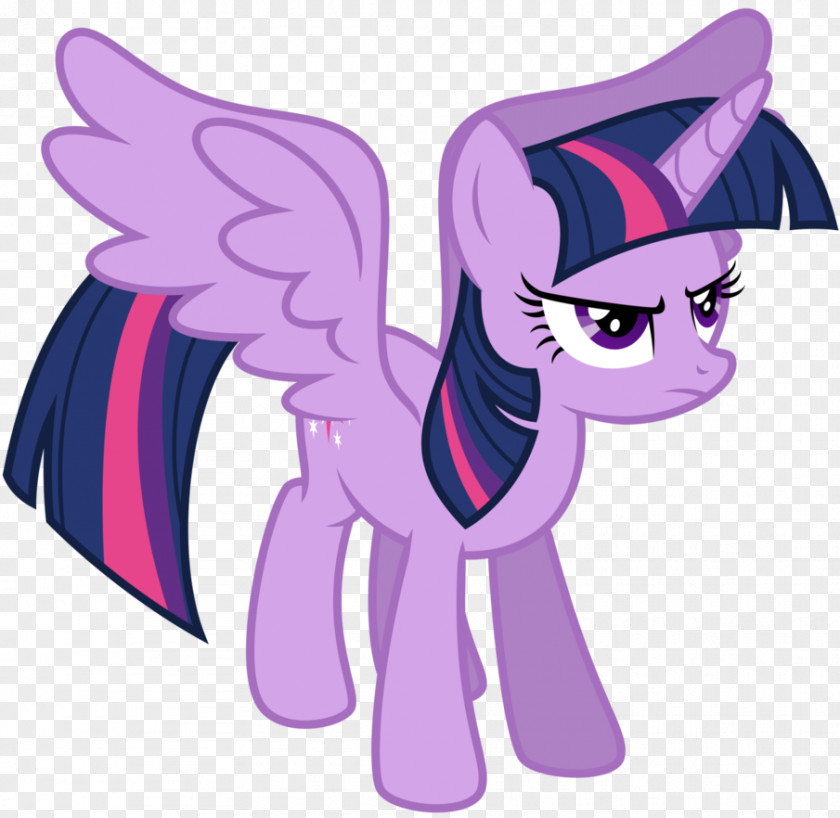 My Little Pony Twilight Sparkle Rainbow Dash Pinkie Pie Rarity PNG