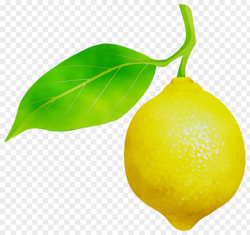 Sweet Lemon Key Lime Citron PNG