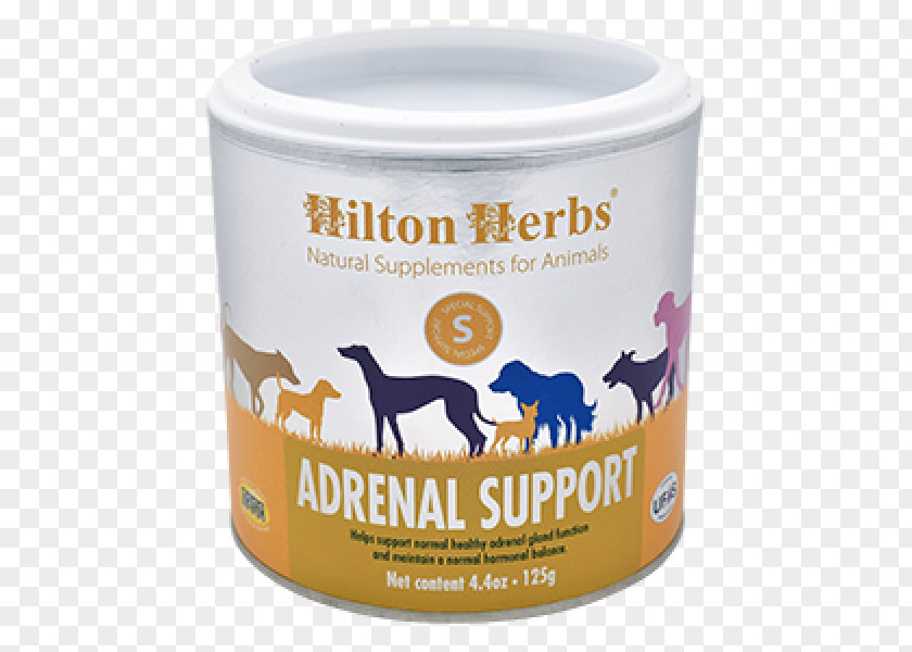Adrenal Gland Dietary Supplement Pug Cat Food Pet Shop PNG