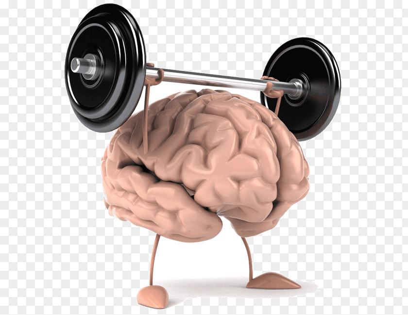 Brain Pragati Power Improvement Training Center. Cognitive Human Exercise PNG