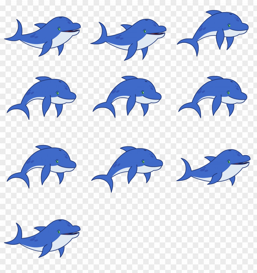 Dolphin Common Bottlenose Marine Biology Clip Art PNG