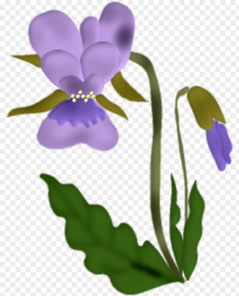 Flower Violet PNG