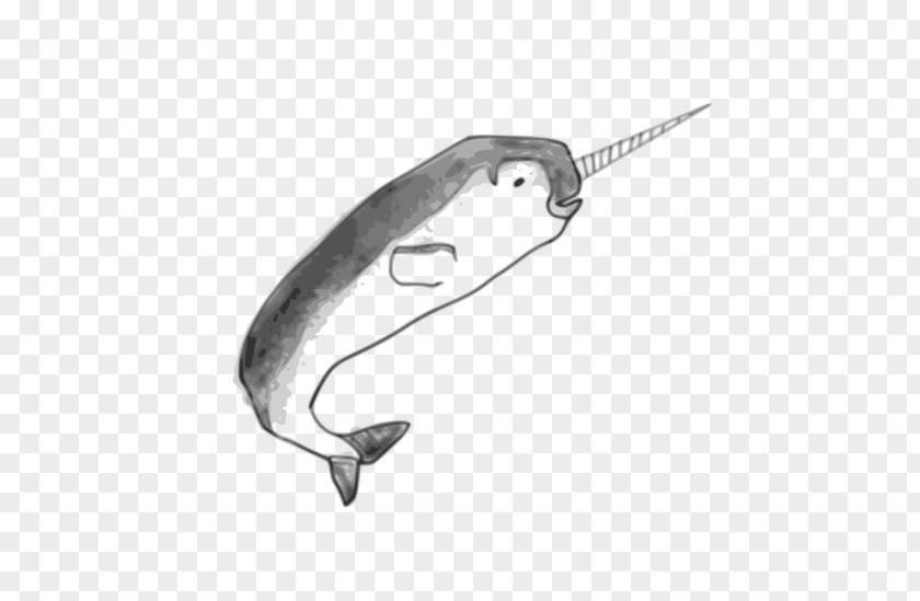Narwhal Toothed Whale Drawing Blanket Sketch PNG