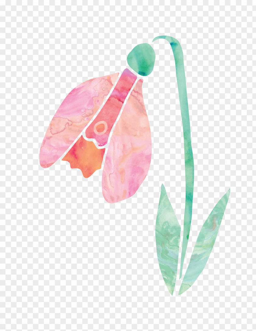 Pink Flowers Leaf PNG