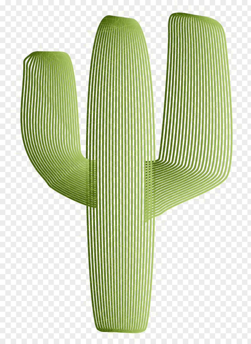 Vector Painted Green Cactus Cactaceae PNG